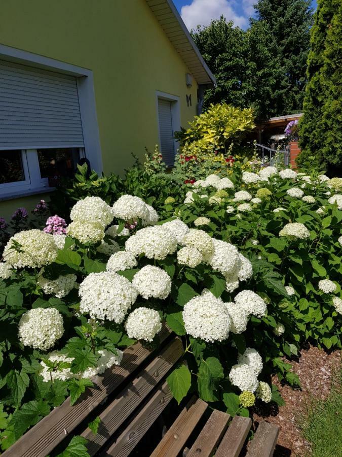 Ferienwohnung Lotte Nuthe-Urstromtal Luaran gambar